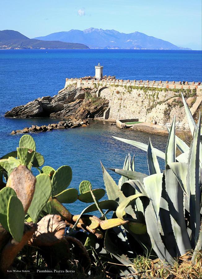Apartment Bilocale 5 Posti Letto San Vincenzo